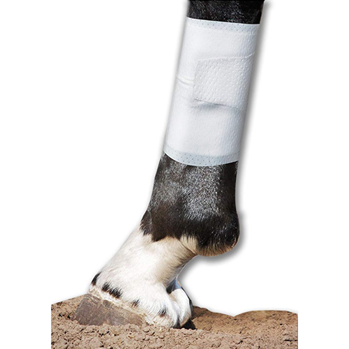 PawFlex | Equine BandaFlex Disposable Horse Bandage, Medium