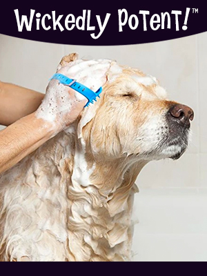 PawFlex | Wickedly Potent, Natural Remedies, Healing Skin Dog Shampoo