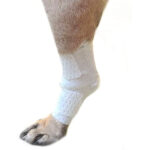 Universal Joint Bandages, for pets, dog bandages, pawflex, pet store near me, pet shop, paw bandages for pets