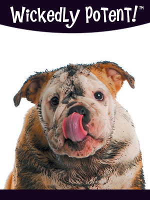 PawFlex | Wickedly Potent, Natural Remedies, Smelly Dog Shampoo