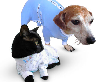 Medical Onesies for Dogs and Cats