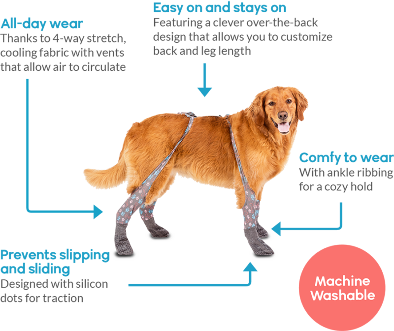 Walkee Paws Adjustable Fit Outdoor Leggings - PawFlex | Paw Bandages for  Dogs & Pets